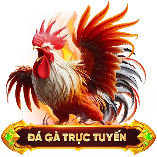 đá gà trực tuyến DU88